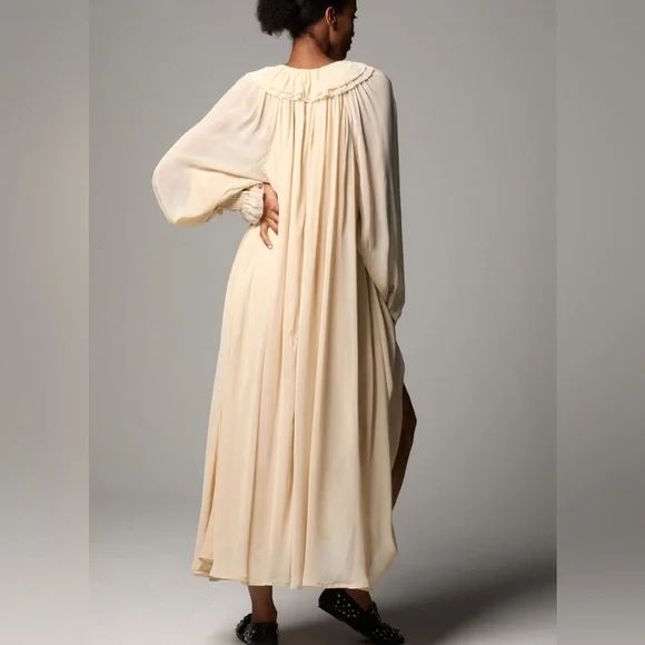 Anthropologie Long Sleeve Sheer Pleated Midi / Maxi Dress - Picture 3 of 8